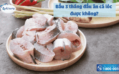 Bầu 3 tháng đầu ăn cá lóc được không? Có tốt không? Cần lưu ý gì?